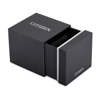 Hodinky Citizen FE6120-86L
