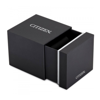 Hodinky CITIZEN FE1241-71Z